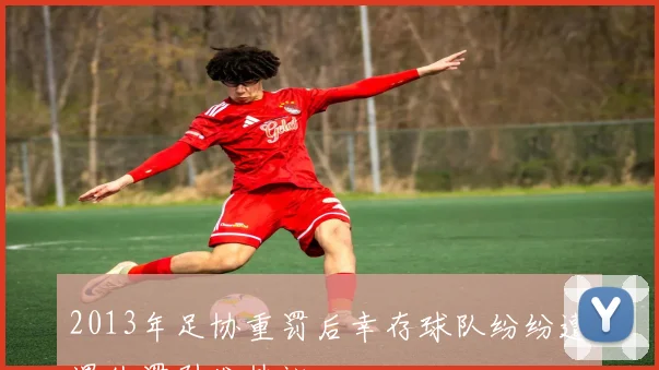 2013年足协重罚后幸存球队纷纷遭遇处罚引发热议